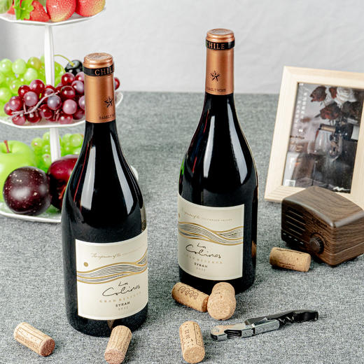 西格尔酒庄山丘西拉特藏干红葡萄酒 商品图3