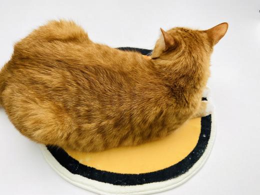 猫研所 周边限定车车大脸毛绒屁屁垫 秋冬专属 人宠通用 46x45cm 商品图4