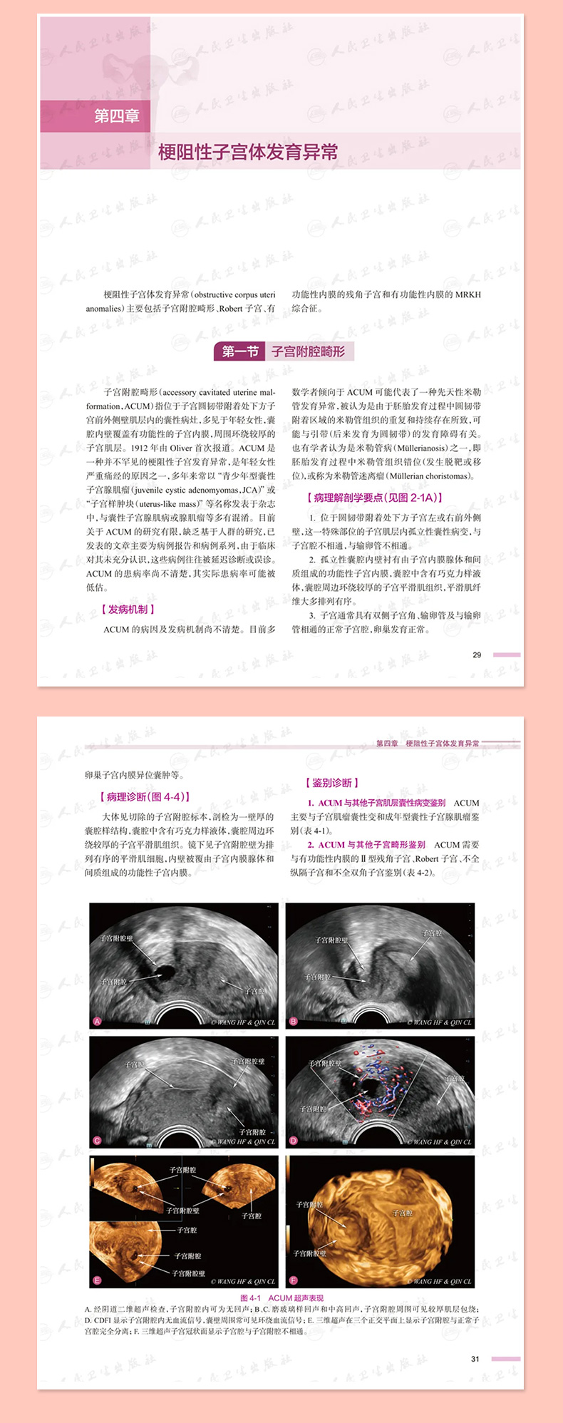 粉色_06.jpg