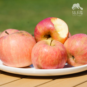 生态红富士苹果（河北）| 合作生产 * Ecological  Apple | Coproduction