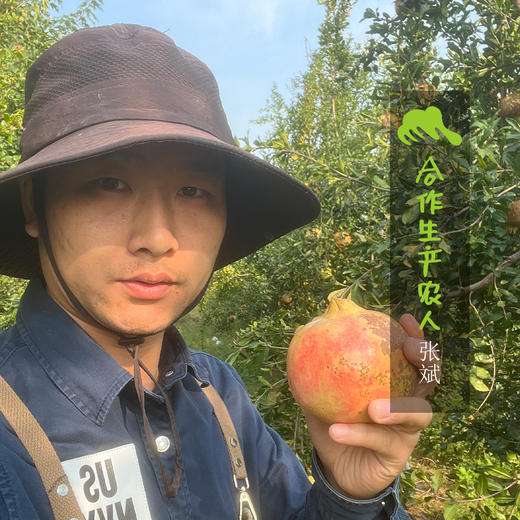 生态桃干|合作生产*Ecological dried peach| Partner Production 商品图1