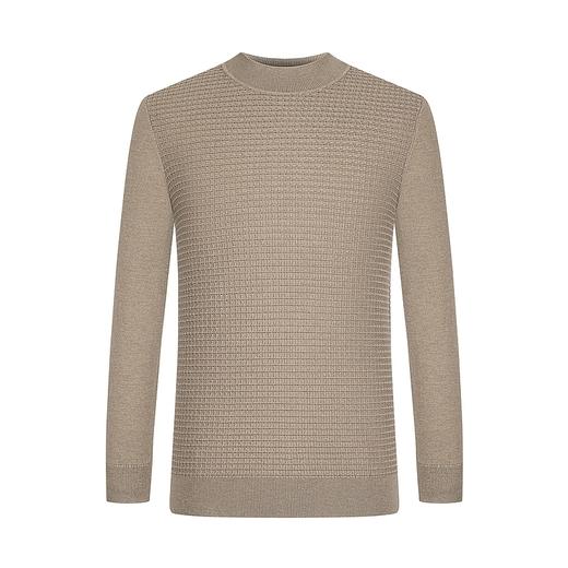 【特价】【羊毛衫】柒牌毛衣男士秋季新款格纹提花休闲时尚半高领毛衫	123Y70270 商品图4