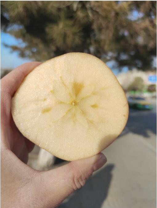 微果时代绿箱阿克苏冰糖心苹果一箱 商品图4