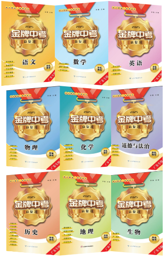2025中考总复习：金牌中考