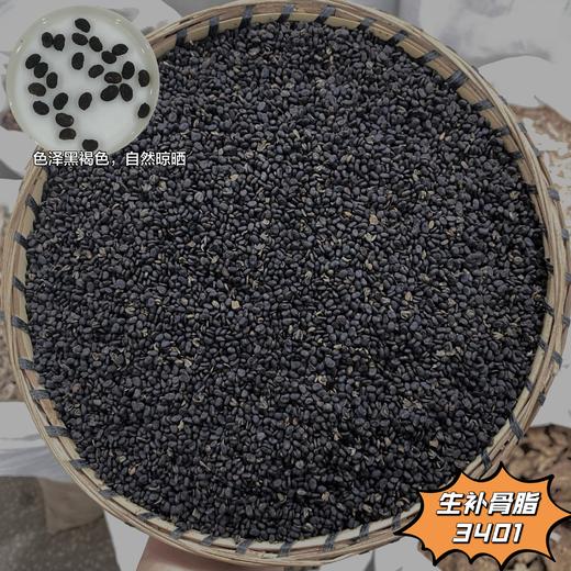 补骨脂  常用规格 破故纸 商品图1