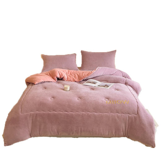 牛奶绒保暖被子被芯冬季加厚保暖被褥水晶绒加绒刺绣被褥棉被 商品图4