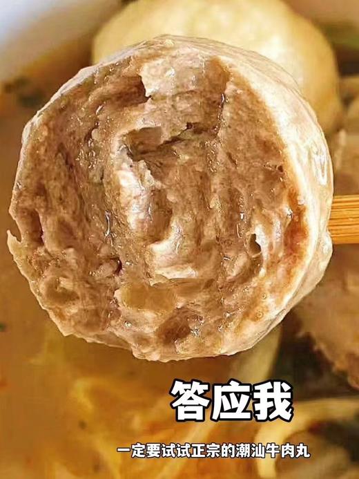 周二取货：【颂食佳潮汕手打牛肉丸】一袋250克，口感紧实有嚼劲！ 商品图1