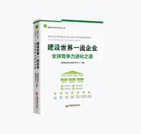 建设世界一流企业：全球竞争力进化之道