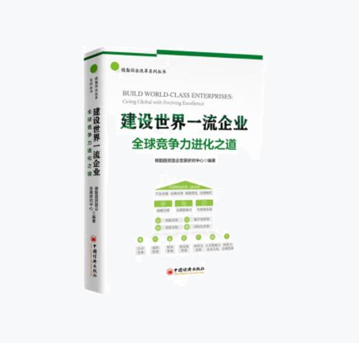建设世界一流企业：全球竞争力进化之道 商品图0