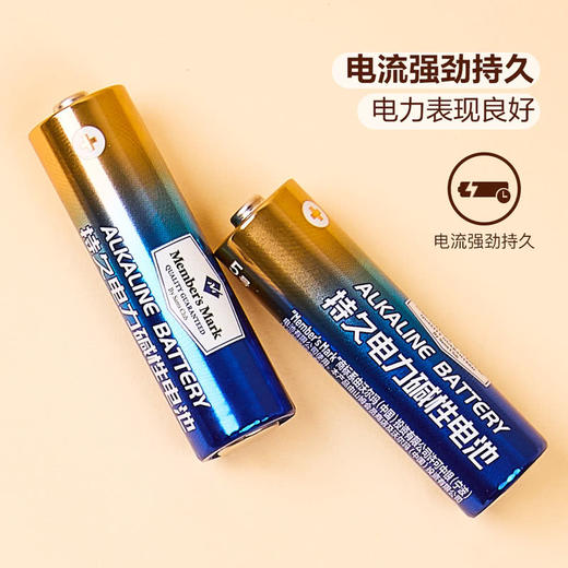 聚便利 X 山姆 Member's Mark 持久电力碱性电池 5号4粒 商品图3