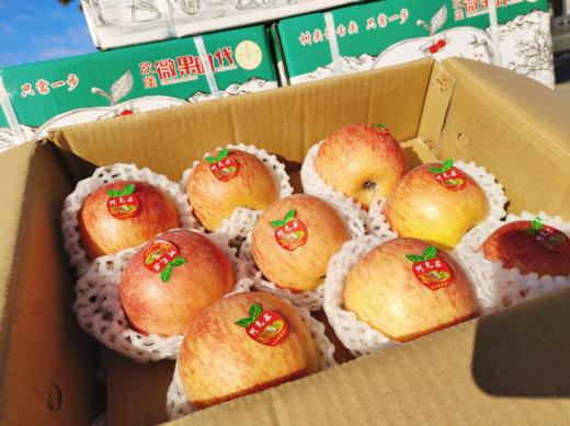 微果时代绿箱阿克苏冰糖心苹果一箱 商品图3