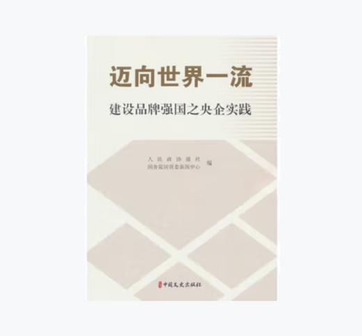 迈向世界一流：建设品牌强国之央企实践 商品图0