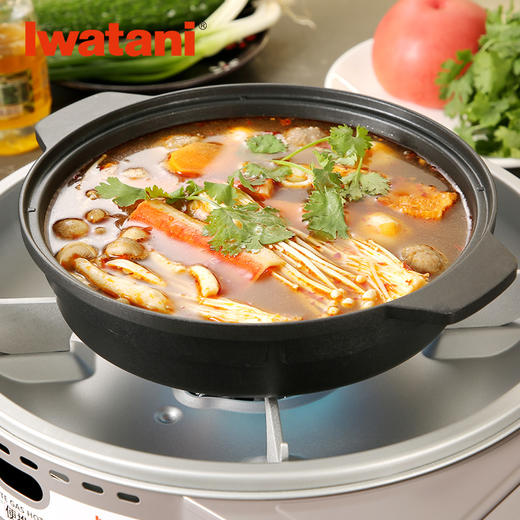 岩谷（Iwatani） 寿喜锅具家用多功能日式户外便携式家庭专用小火锅不粘锅烤盘 ZK-06多功能锅 商品图1