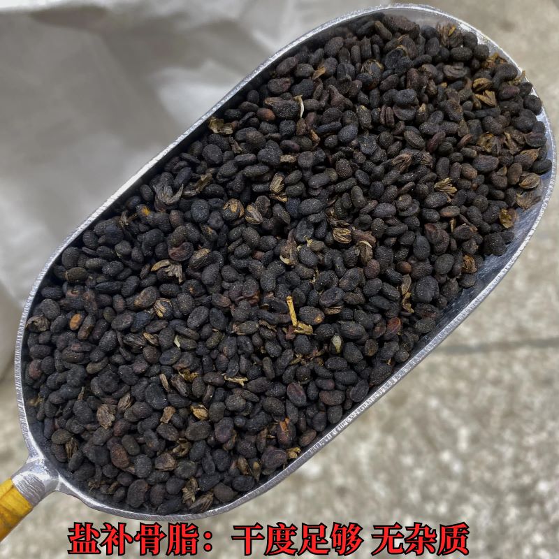 补骨脂 常用规格 破故纸