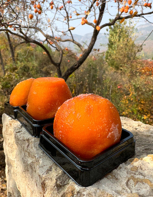 基地直发| 流心冰柿 |物本源 商品图1