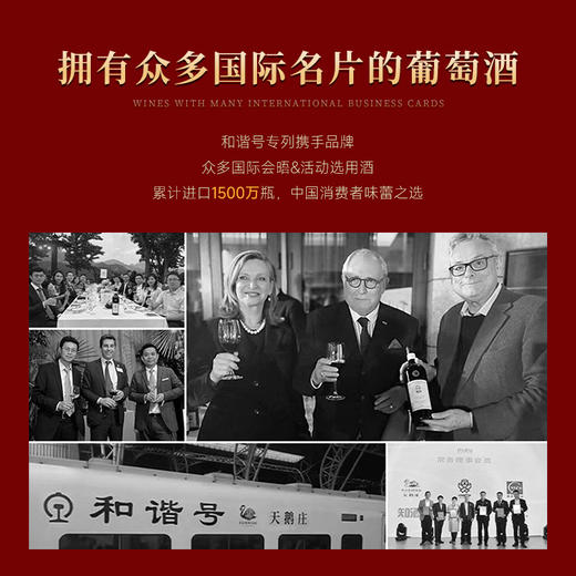 【抢先价VIP限享·天鹅庄蛇年生肖限定】天鹅庄蛇年生肖酒·蛇来运转 澳大利亚原瓶进口 14.5%vol 商品图9