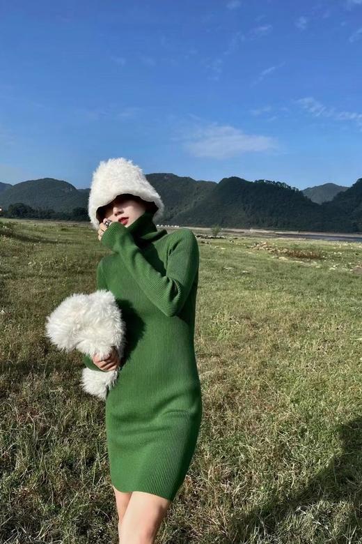 SIA SAYLOR 高领修身打底针织连衣裙 14928 商品图0