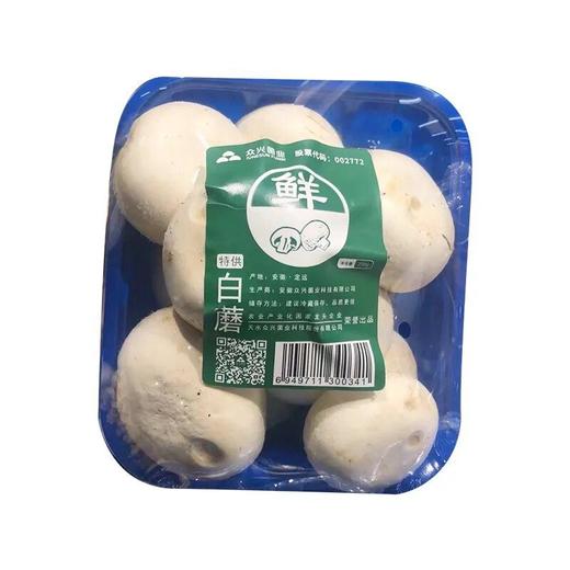 A口蘑（盒）约230g 商品图0