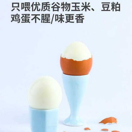 【到家思想】鲜鸡蛋12枚/盒-顺丰 商品图2
