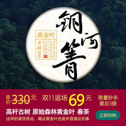 2021【铜箐河黄金叶】这样的高货茶品，喝点黄金叶也是件很满足的事 商品图1
