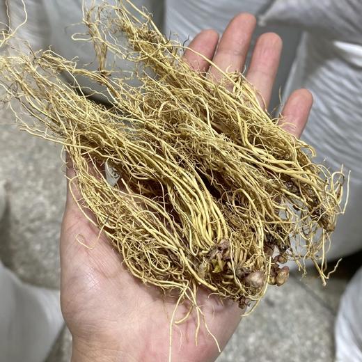 细辛  净货 无石子 当季新货 农家生晒 中药材 商品图2