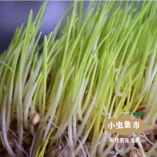 生态叮叮糖 150g/袋*2 | 合作农友生产，产自湖北黄冈，生产者是:李明攀*【公平贸易农人定价】 商品图9