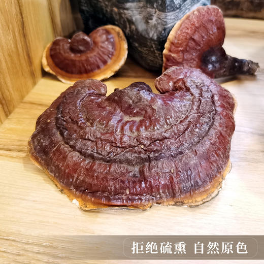【西藏野生灵芝】西藏灵芝波密地区野生灵芝100g 商品图4