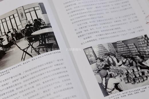 《三鹤六堡茶》一杯三鹤茶，半部六堡史 商品图3