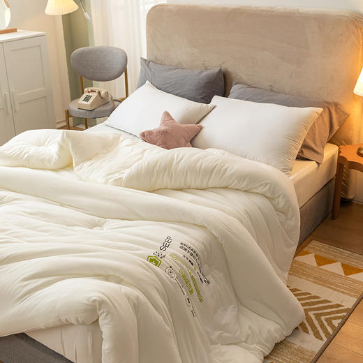 A类仿鹅绒抗菌冬被 蓬松柔软保暖不压身被芯 商品图4