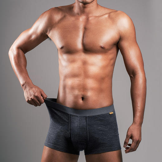 隐羽PRO美丽诺羊毛内裤男士平角中腰舒适纯色亲肤柔软短裤 商品图4