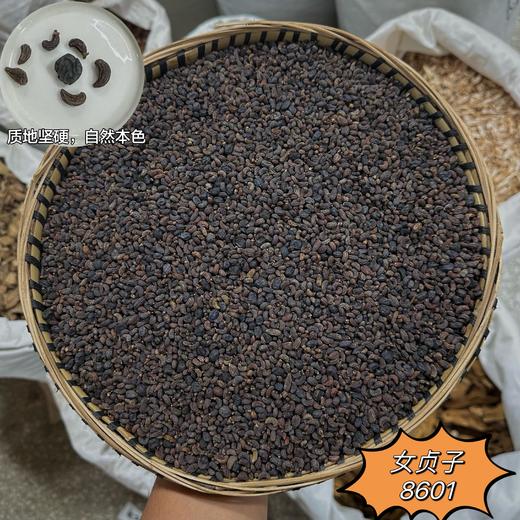 女贞子 常用规格 云南女贞子 商品图1