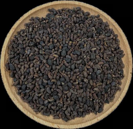 女贞子 常用规格 云南女贞子 商品图2