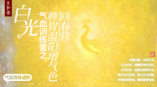 直播专属｜白光｜气血训练营之脾胃温阳增气色回春营丨进阶｜课程装备｜元和学院 商品图0
