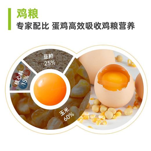 【德青源】 A级鲜鸡蛋30枚*2盒-顺丰 商品图2