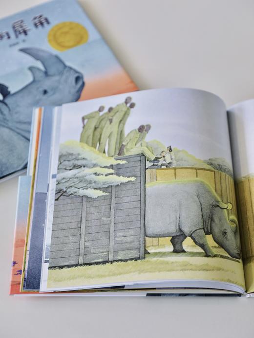 苏丹的犀角 商品图3