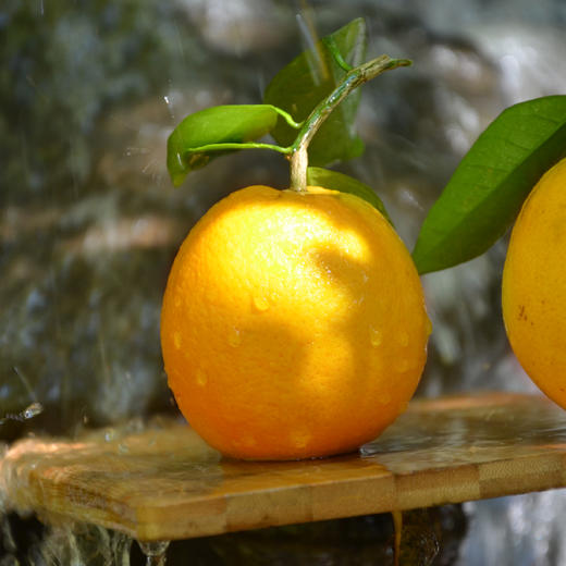 【顺丰/京东】江西赣南脐橙 出口级品质  新鲜橙子现摘 整箱甜橙 -BYY 商品图3