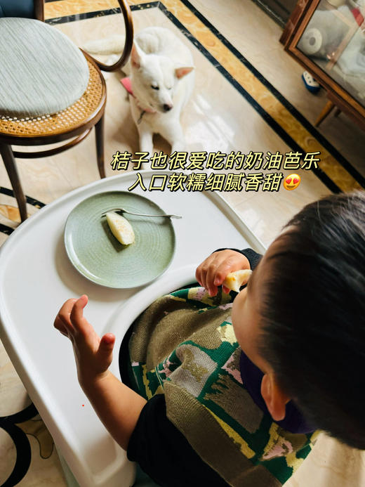 观海听涛长在树上的布丁【黄金奶油芭乐】【红心芭乐】来自福建漳州盐碱地种植  树熟品种 冰淇淋质感 芳香软糯；低糖低卡高VC无负担，适合爱美女士，软糯冰淇淋口感老人小孩都能吃（5斤装） 商品图2