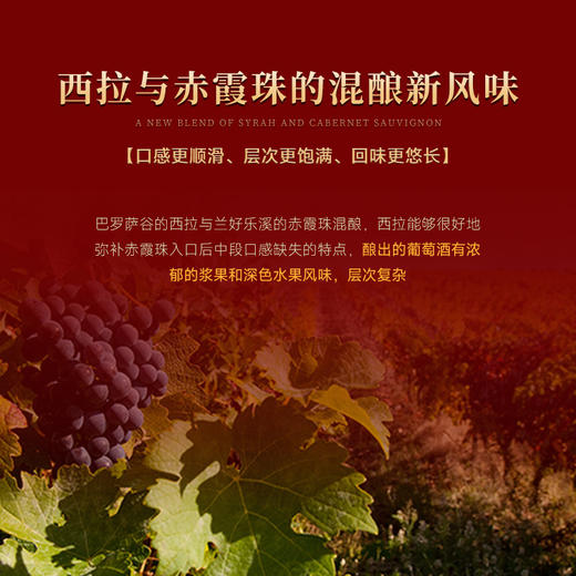 【抢先价VIP限享·天鹅庄蛇年生肖限定】天鹅庄蛇年生肖酒·蛇来运转 澳大利亚原瓶进口 14.5%vol 商品图10