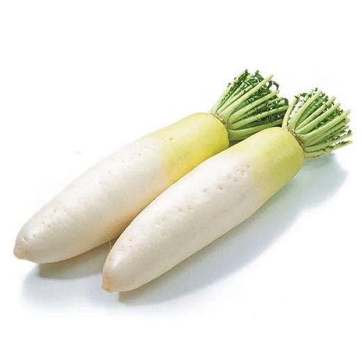 A白萝卜（800±100g） 商品图0