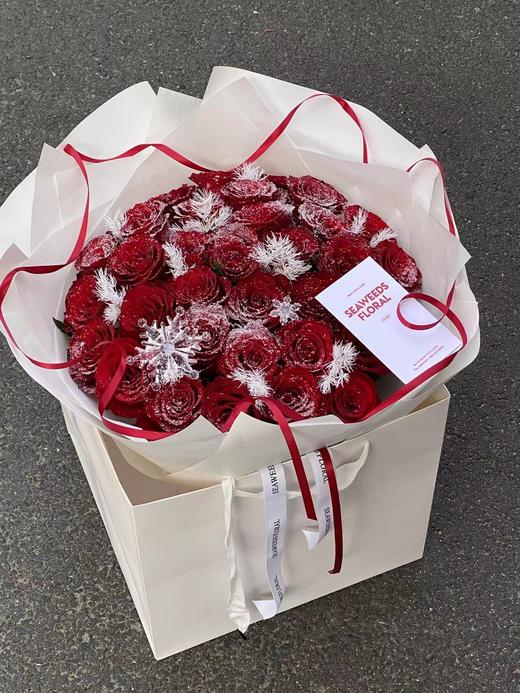 【细雪/粗雪】圣诞喷雪280ml 商品图9