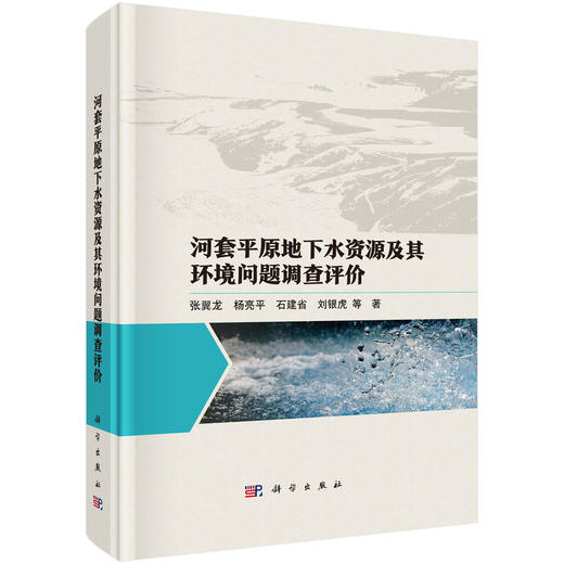 河套平原地下水资源及其环境问题调查评价 商品图0