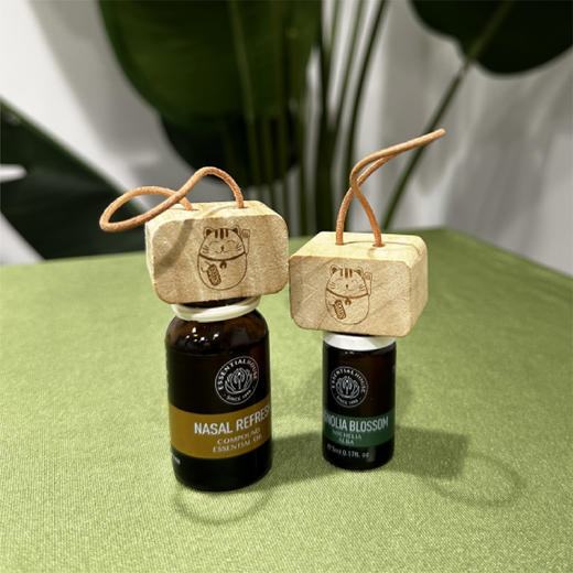 定制「扩香木」天然材质扩香摆件 商品图2