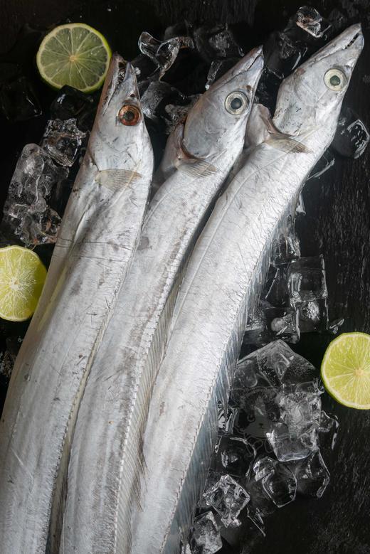 猫太推荐---大规格，单条5-6两❗️贝司令舟山海钓野生带鱼89/5条❗️ 商品图0