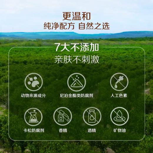 雅蜜®多用途滋润膏 商品图5