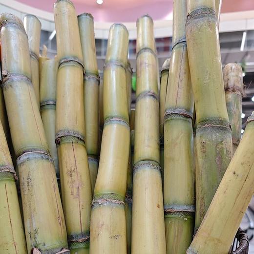 云南黄金甘蔗（1000±100）（默认切段，不切段请备注） 商品图0