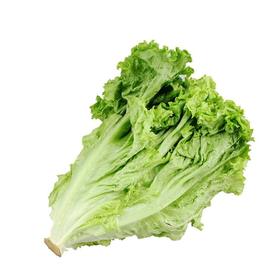 A生菜（400±30g）