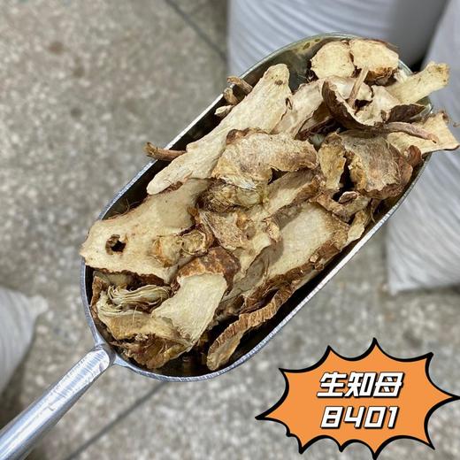 知母 常用规格 生知母切片 商品图2