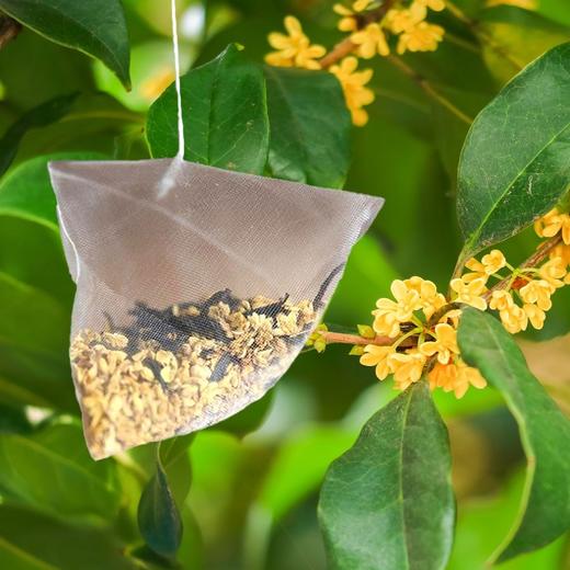 （下单满百送冻干5A级干桂花茶10g）桂花九曲红梅  花香拂面，甜味宜人，如坐桂树下   原叶入袋，优选原料，怎么泡都好喝 商品图3