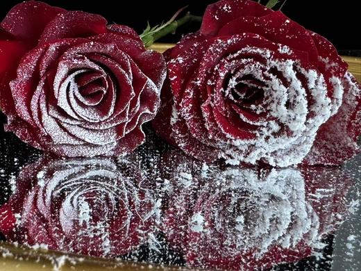 【细雪/粗雪】圣诞喷雪280ml 商品图8