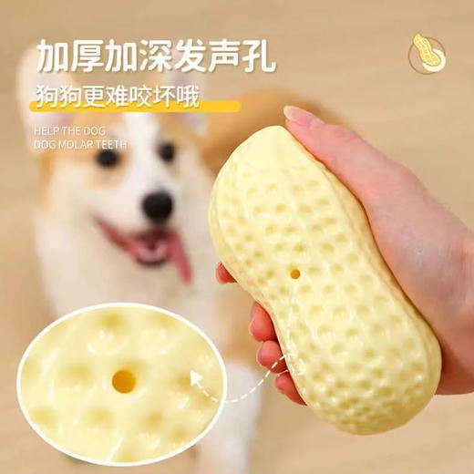 狗狗玩具发声花生解闷神器耐咬磨牙柯基泰迪宠物用品/1个 商品图2